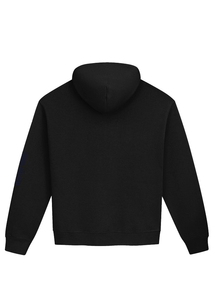 The "Penjitsu" Essential Hoodie | Artifact 001 product image (4)