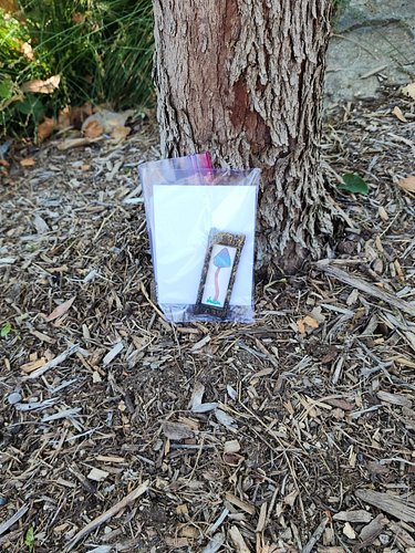 Second one dropped at Conservation Park in DTO! If you find it, its yours!
#gameofshrooms2026 @gameofshroomsofficial #freeart...