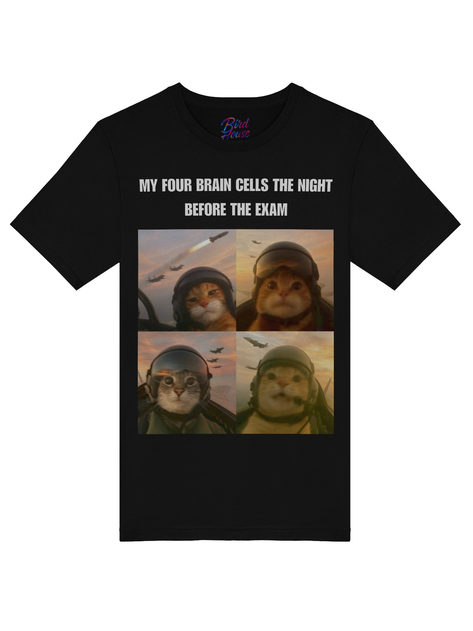 POV: My Four Brain Cells the Night Before the Exam T-Shirt product image (5)