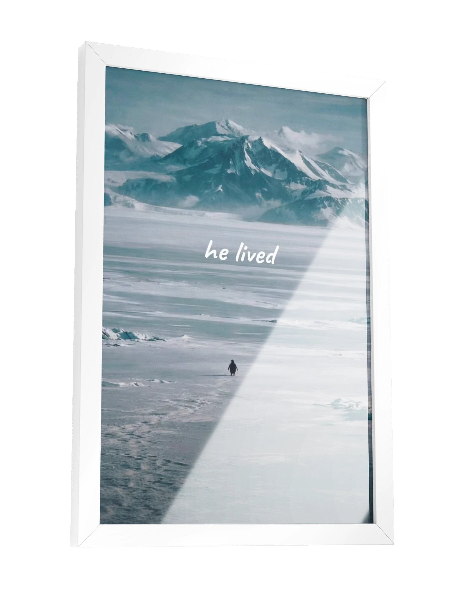 he lived- penguin product image (6)