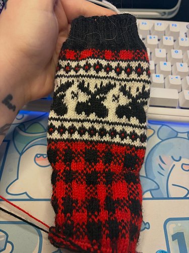 Working on Canada Moose socks! On the foot!

#knitting #socks #colorwork #streamer #fiberart