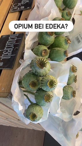 #opium #mohn #edeka #deutschland🇩🇪