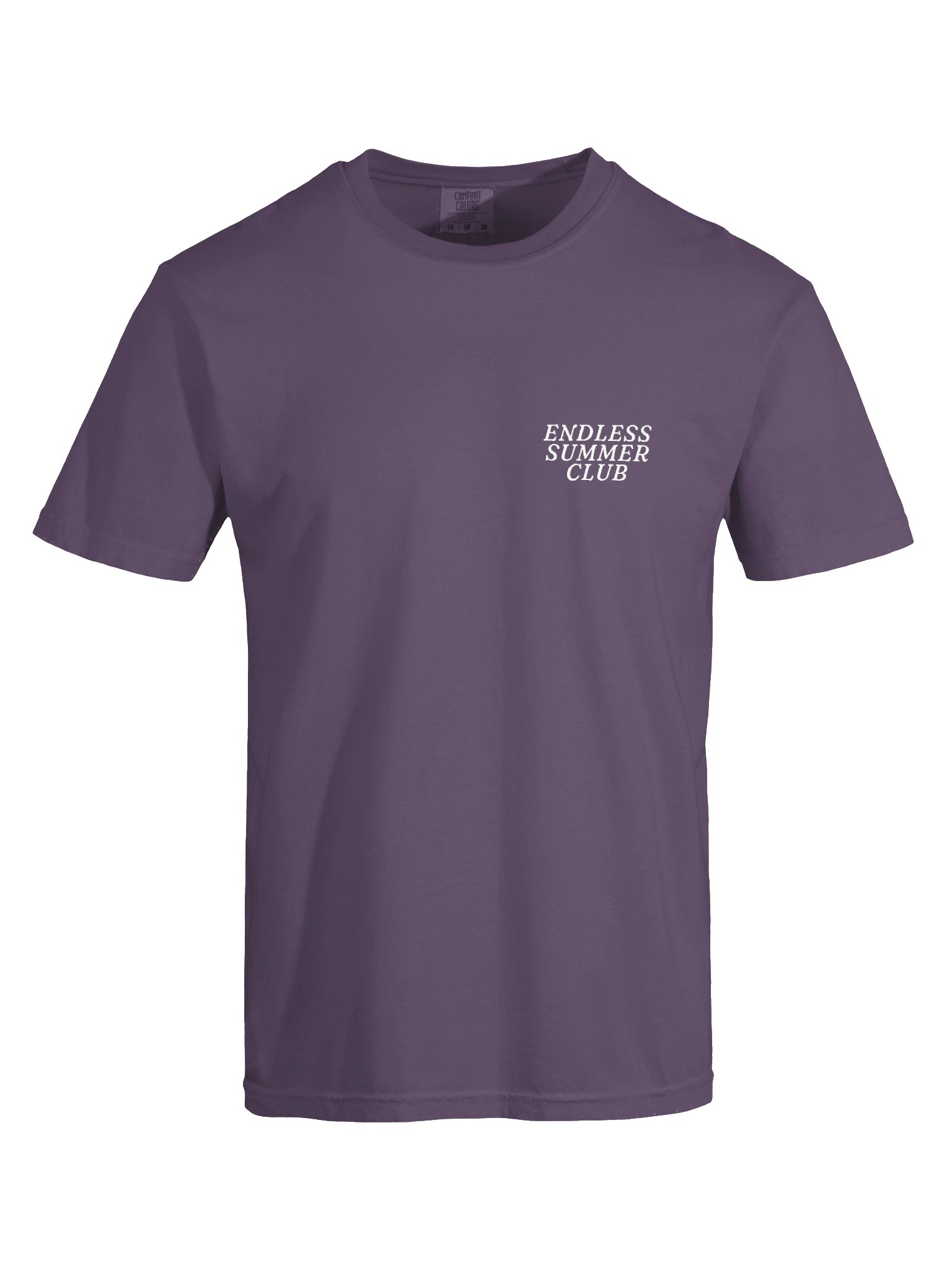 Endless Summer Club Washed Tee Plum / Violet product image (9)