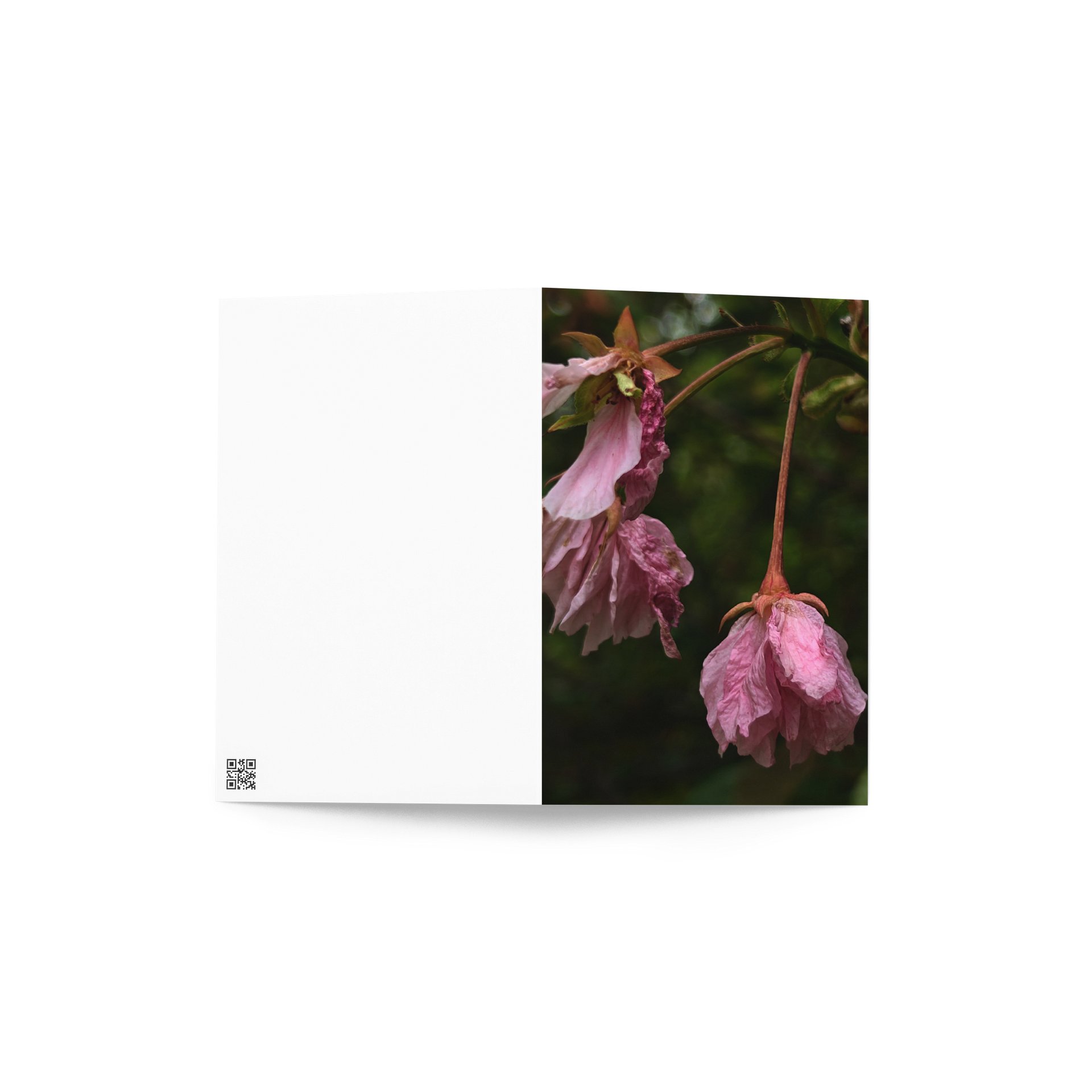wilted cherry — from "holding" | art print | eza | casa de karma product image (2)