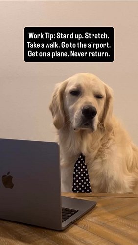 Some wise words of wisdom from Rigatoni #work #office #wfh #corporatehumor