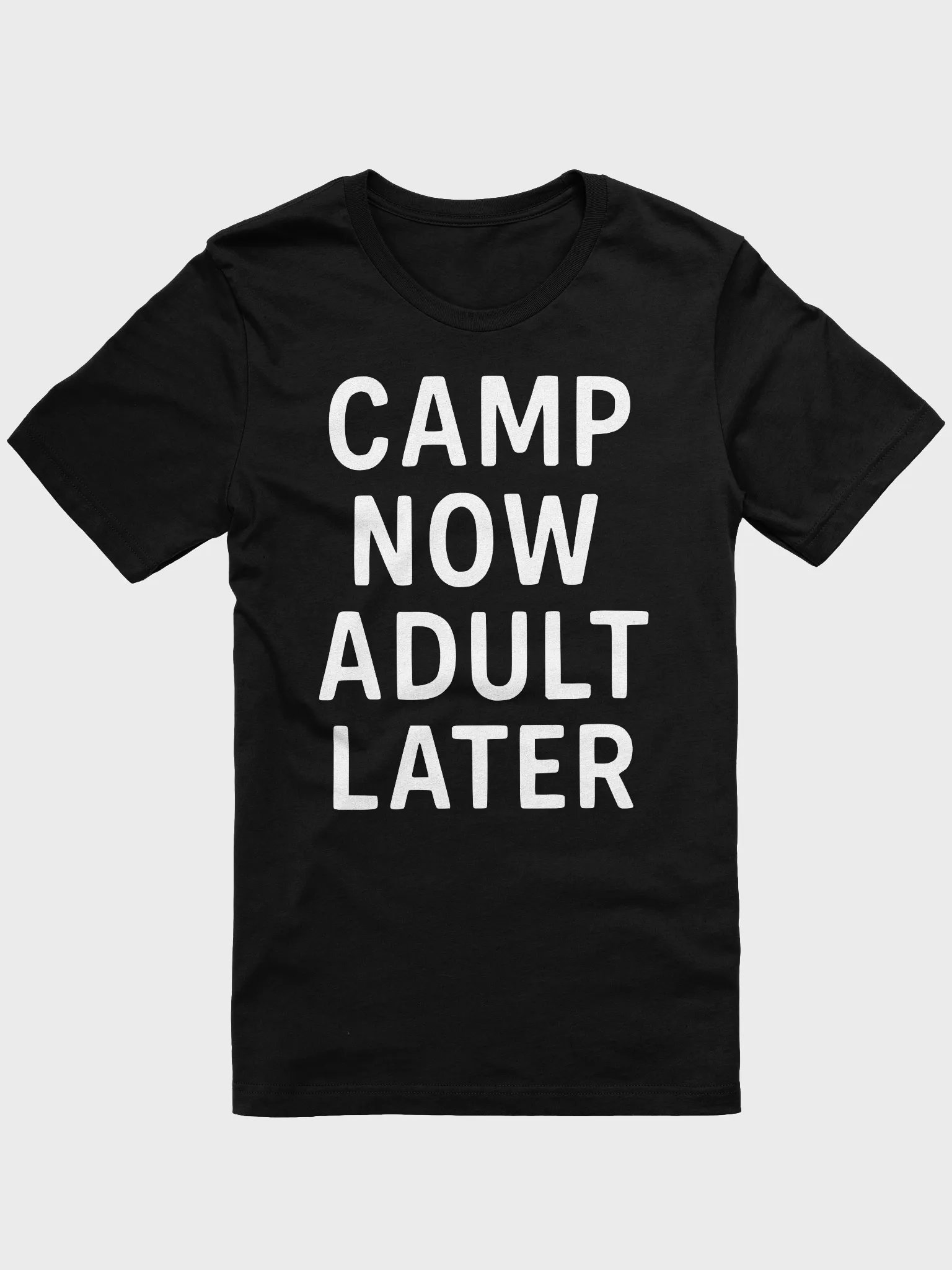 Camp Now Adult Later product image (2)