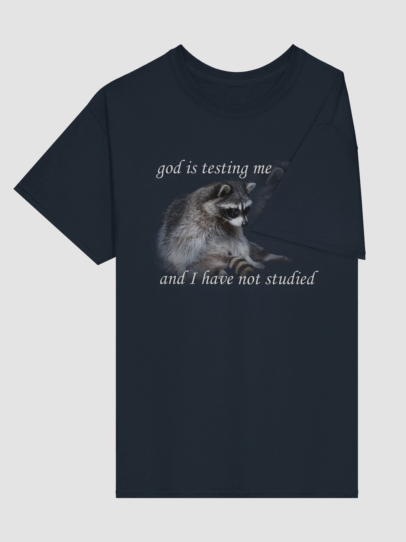 God is Testing Me Raccoon T-shirt product image (27)