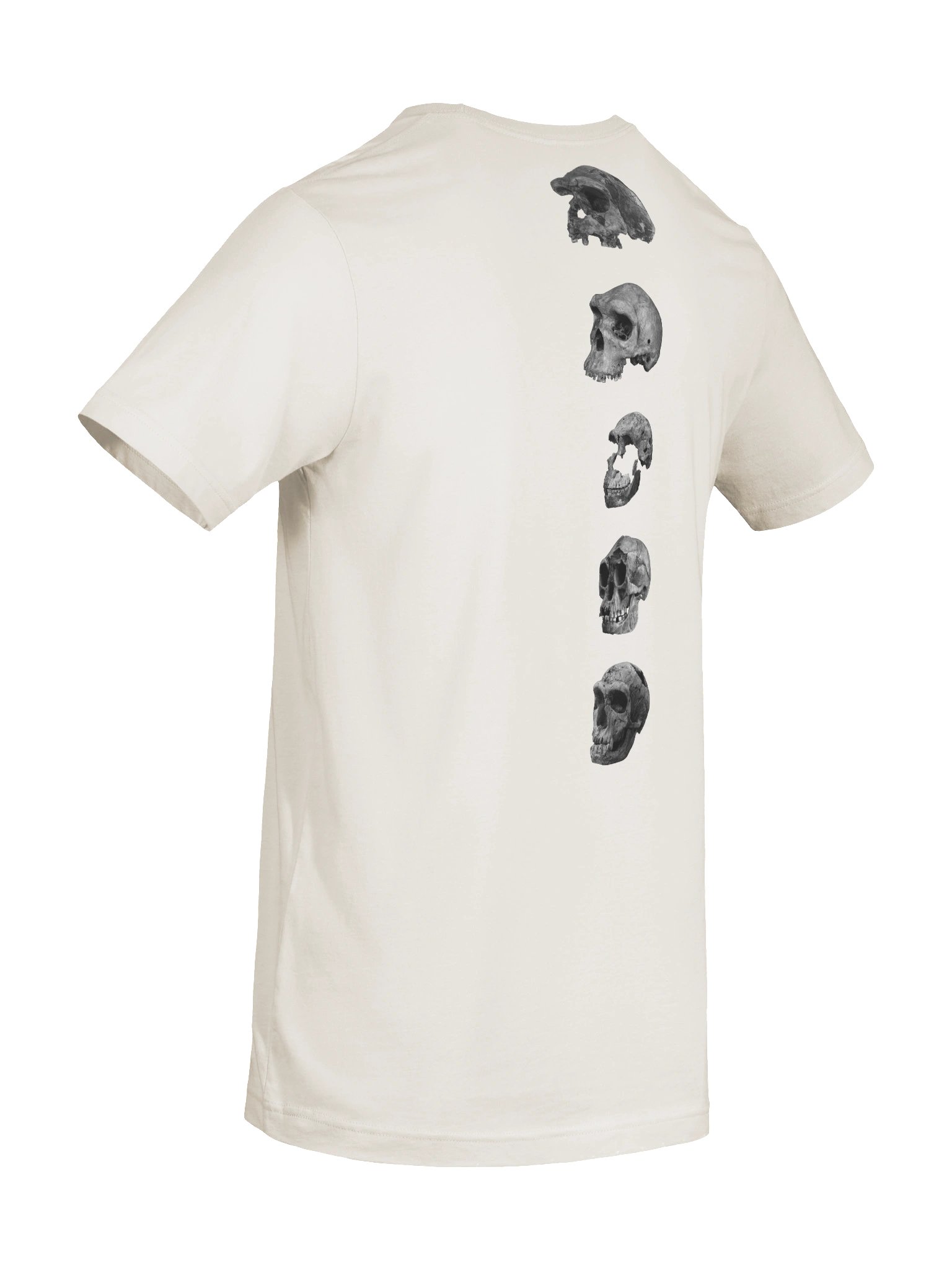 Skull Collection T-Shirt Light product image (8)