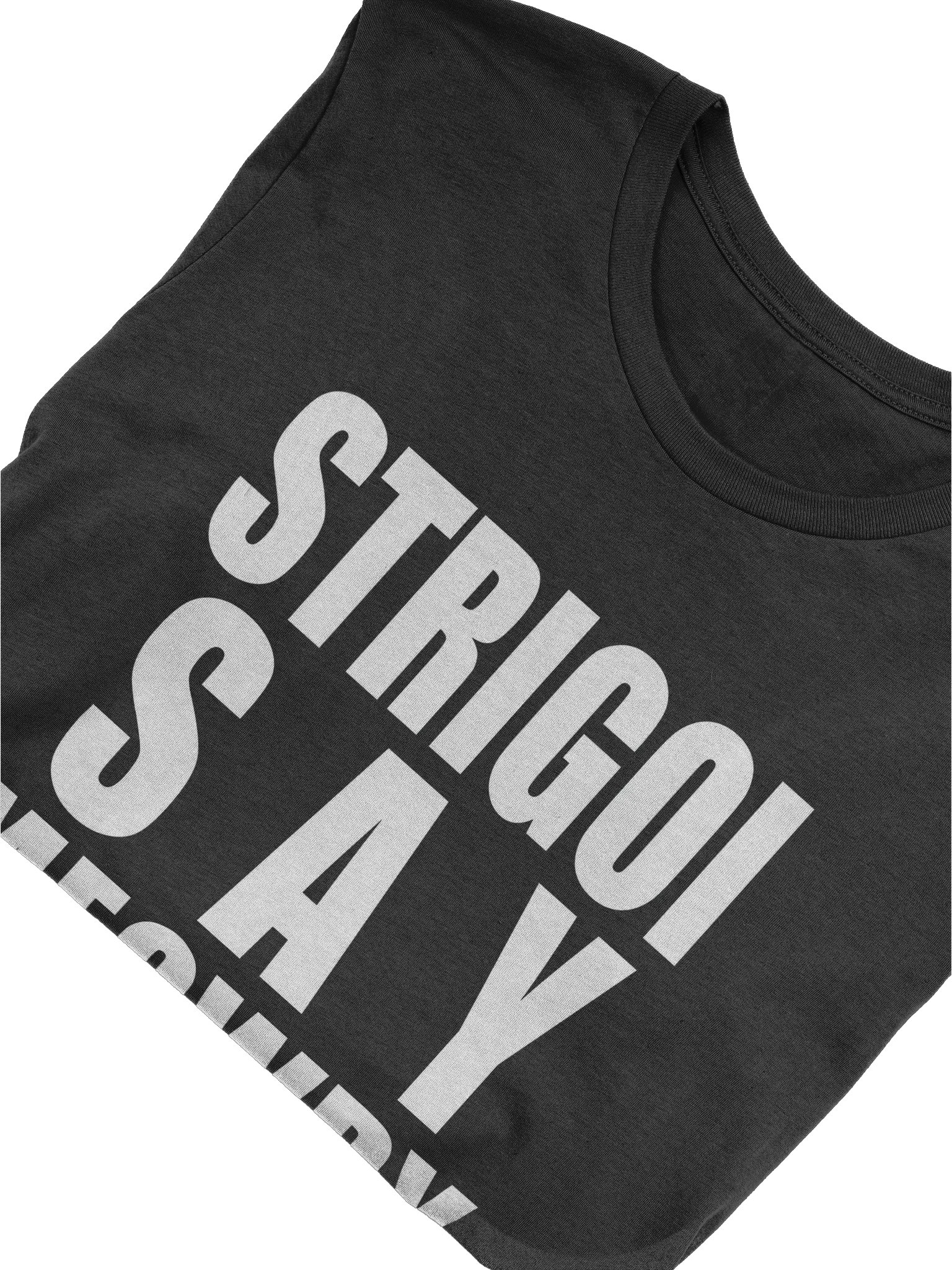 DJ STRIGOI MEOWDY SOFT TEE product image (10)