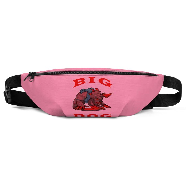 BIG DOG FANNY PACK product image (1)