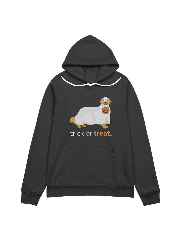 Spooky Pup Trick-or-Treat Hoodie product image (1)