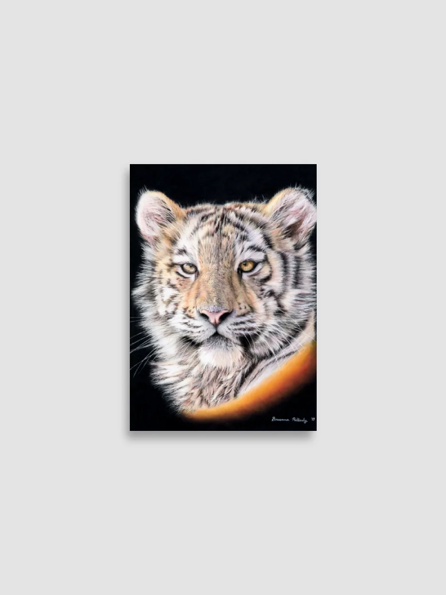 Zima ~ Tiger Cub Enhanced Matte Paper Poster product image (1)