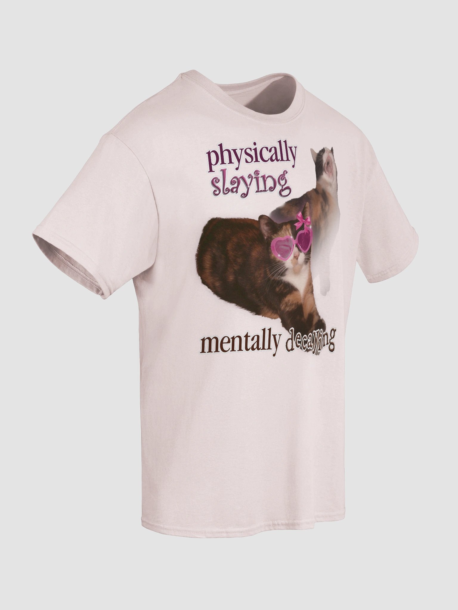 Physically Slaying Mentally Decaying - Cat T-shirt product image (8)