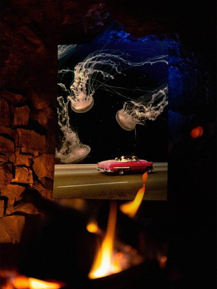 Jellyfish Poster product image (2)
