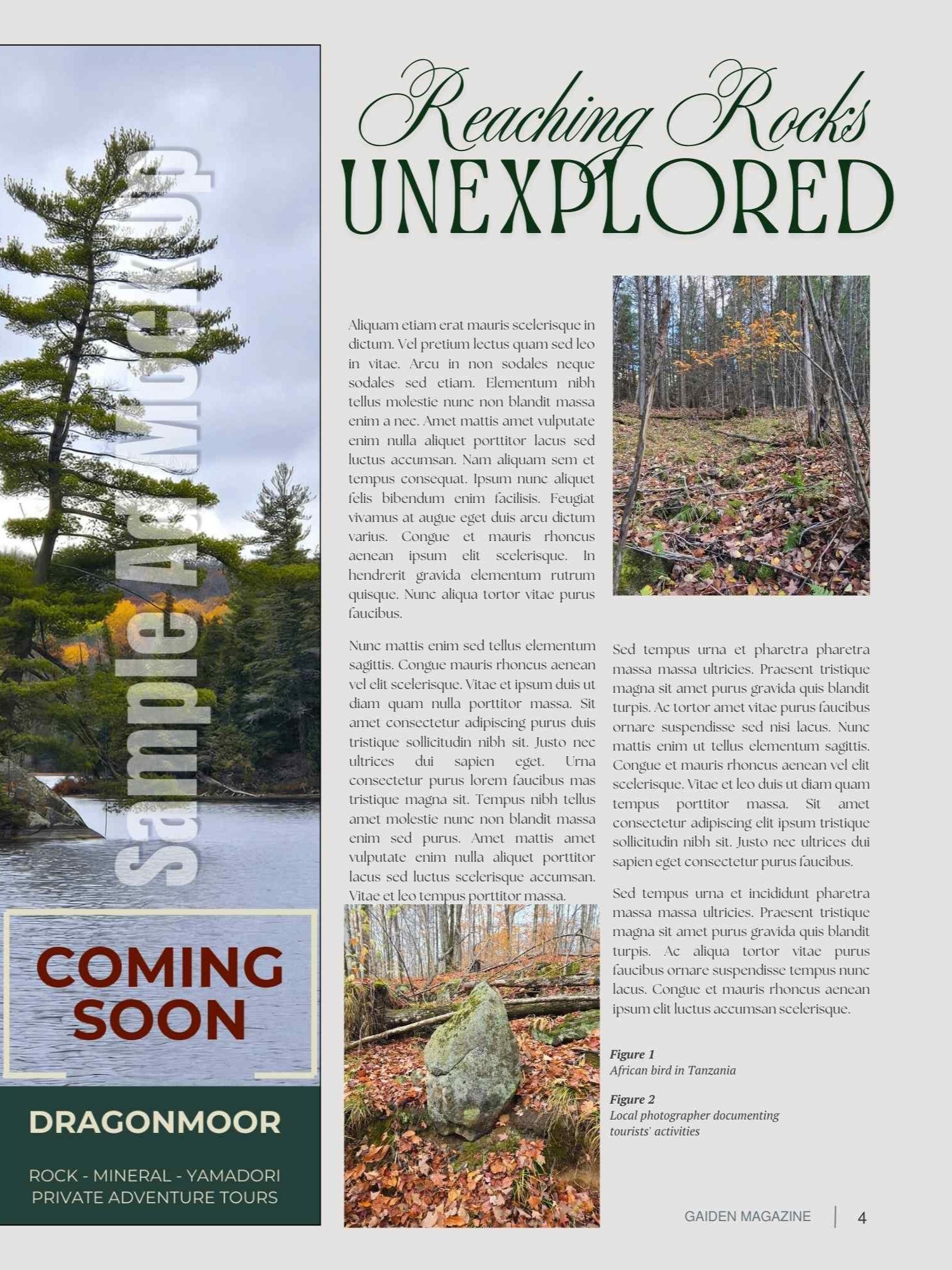 GAIDEN: 1/3 PG Ad Insert product image (1)