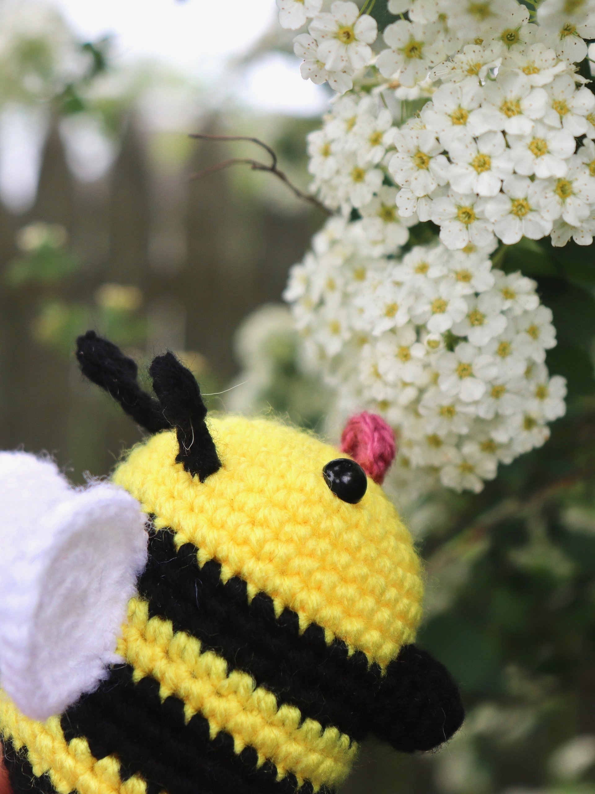 Bramble the Bumblebee PDF product image (4)