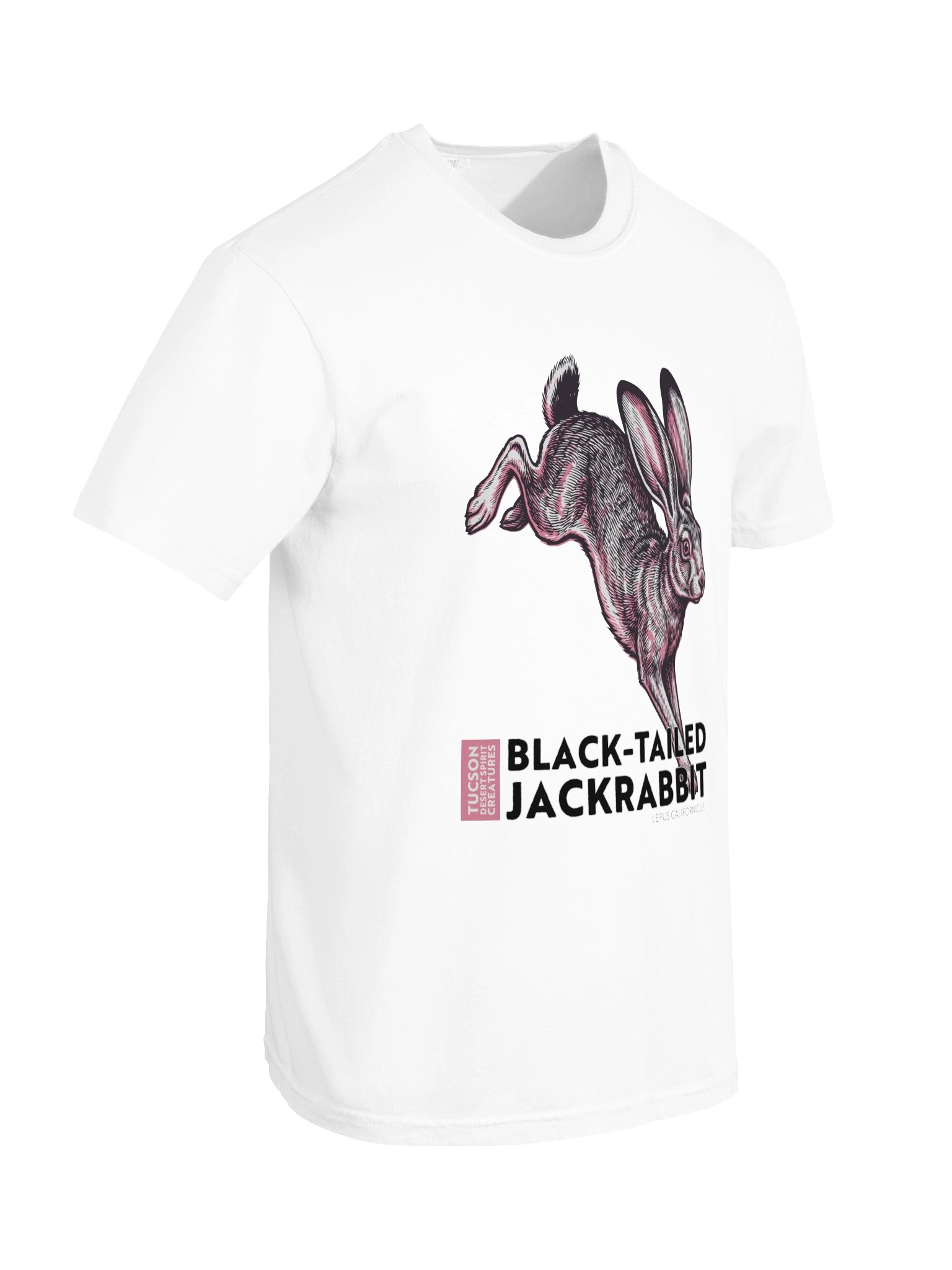 BLACK-TAILED JACKRABBIT product image (83)