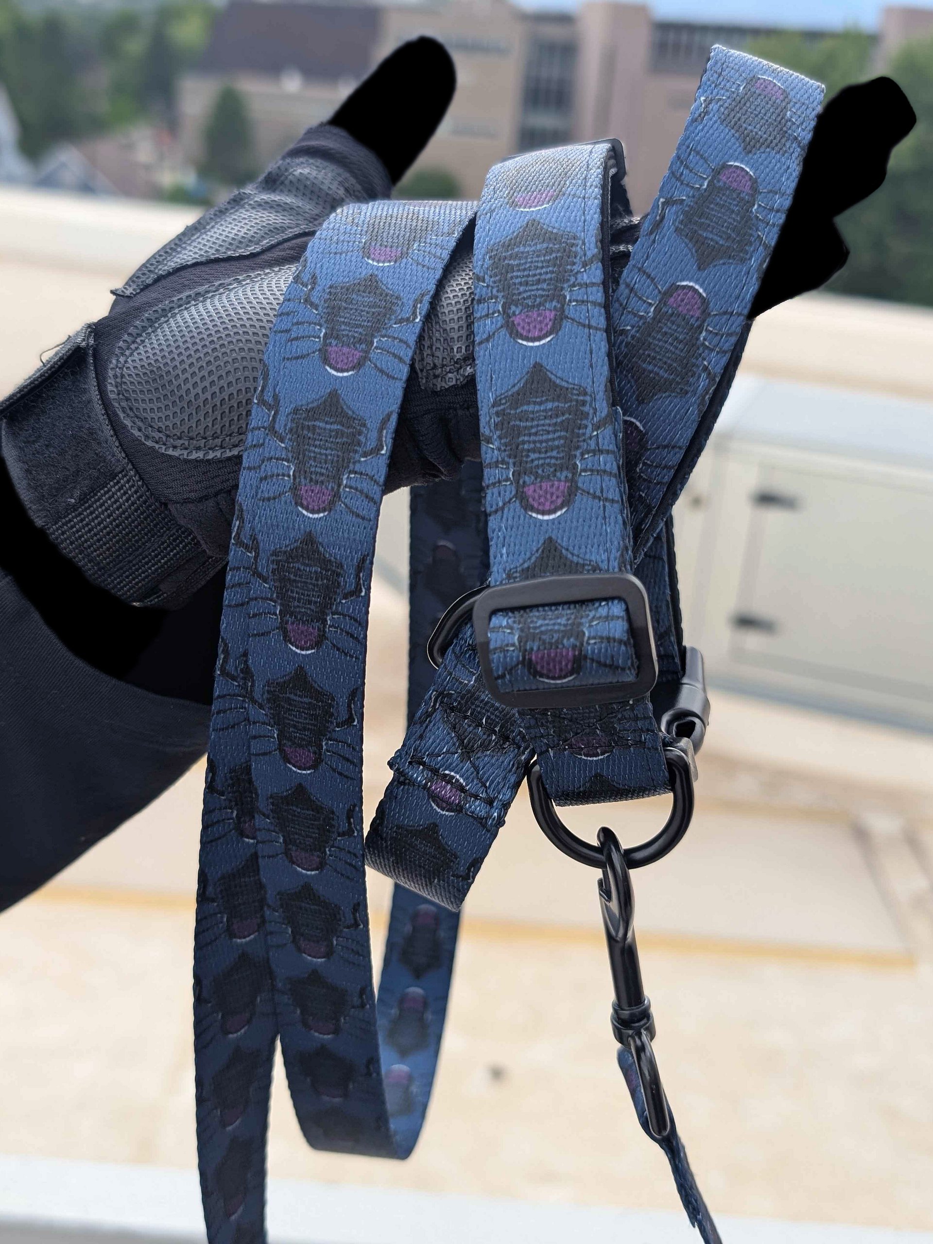 Dog Collar & Leash product image (4)