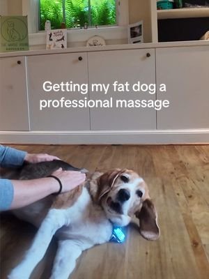 Bro was only there for the peanut butter 😭 #dog #funny #viral 