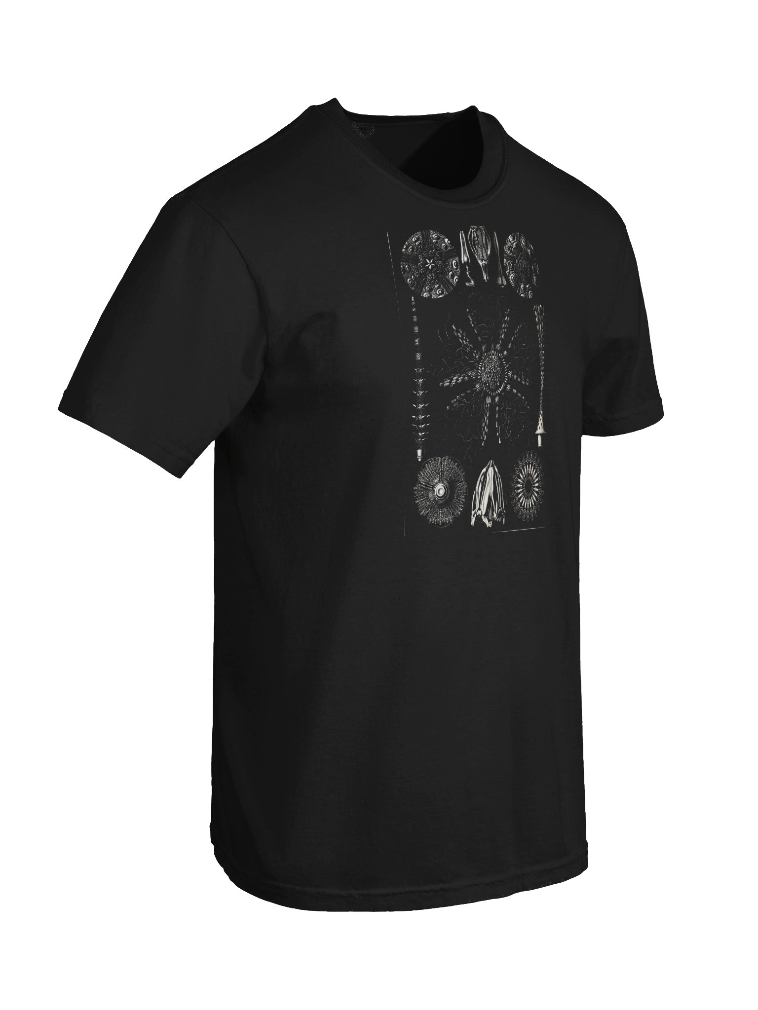 Sea Urchins Vintage Scientific Illustration T-Shirt product image (6)