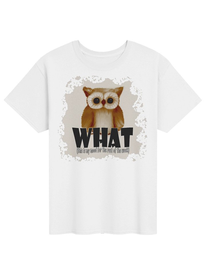 Women's Gildan Heavyweight T-Shirt product image (1)