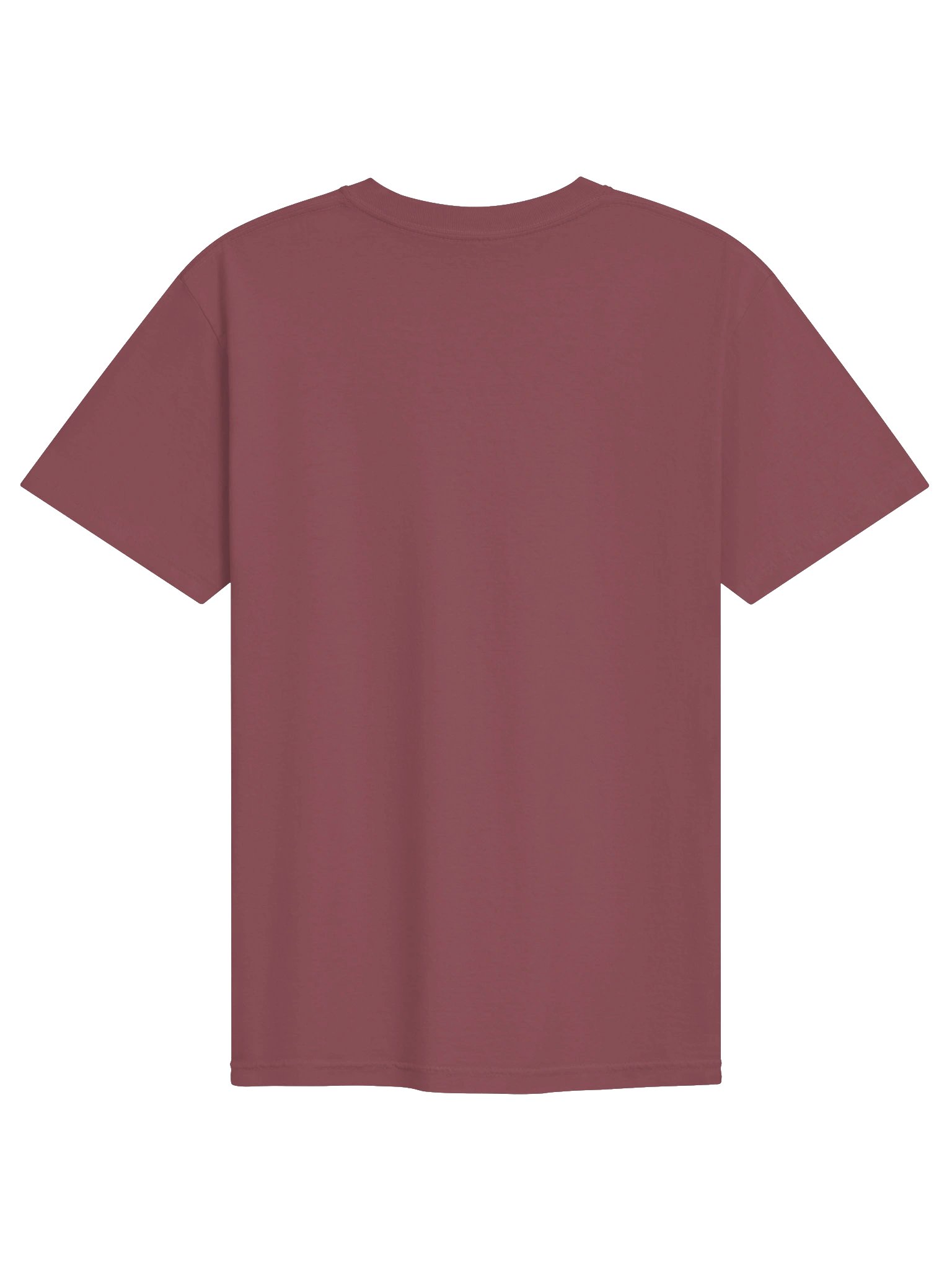 "Sing Hymns" EMBROIDERED Vintage Tee product image (2)