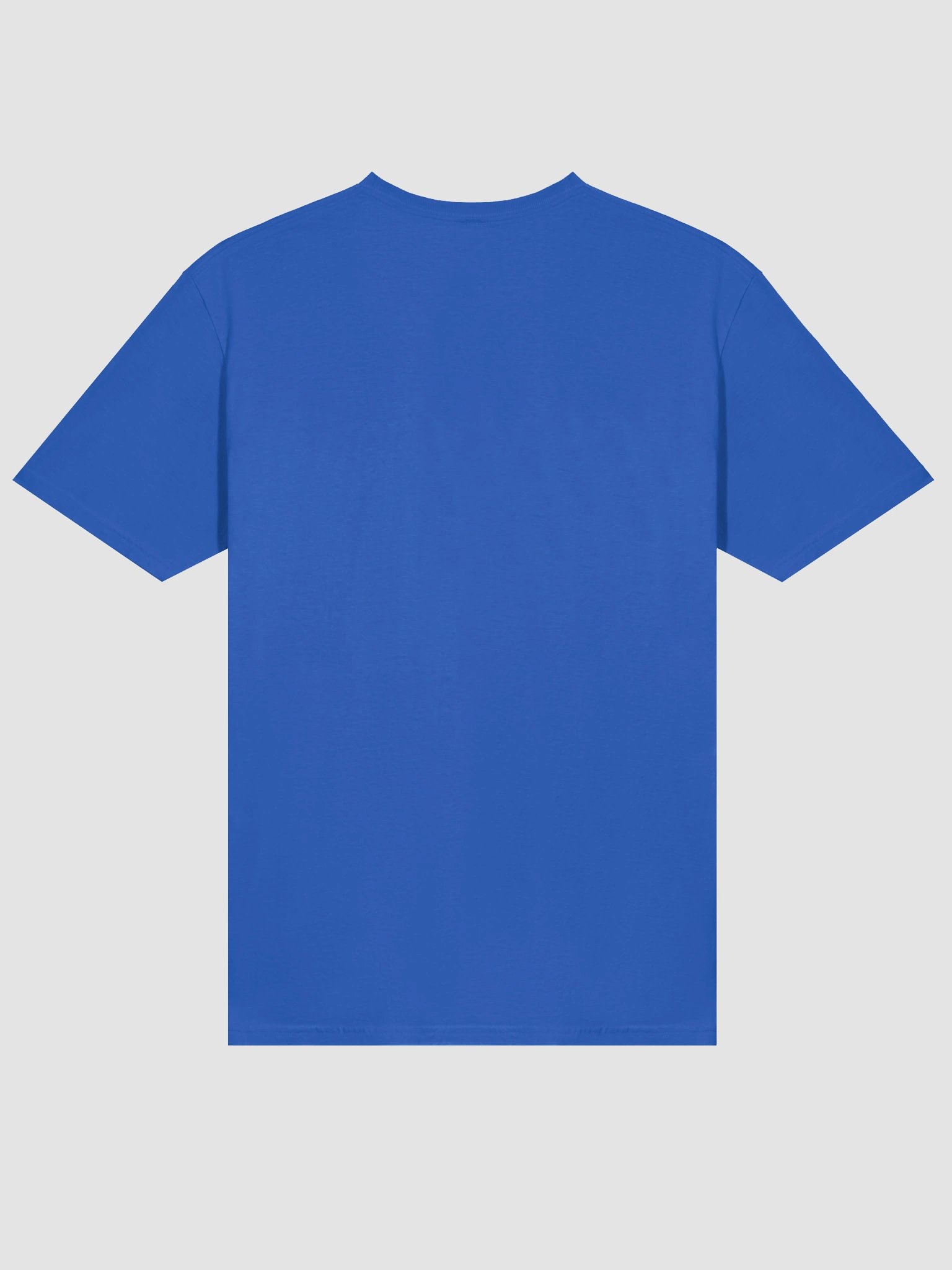 Moderen Pickle Fit T-Shirt product image (58)