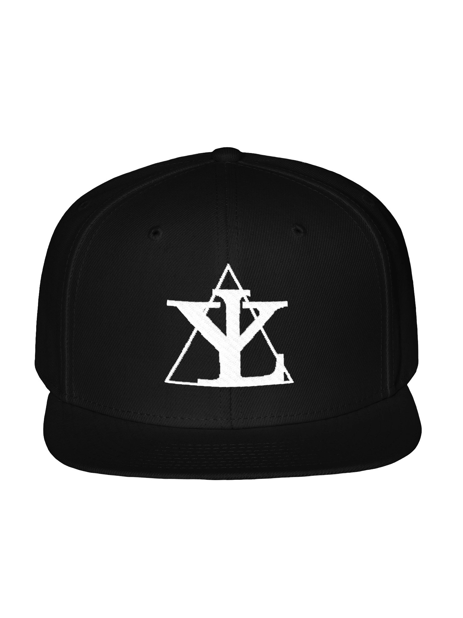 YL THE BCG — Signature Snapback product image (2)