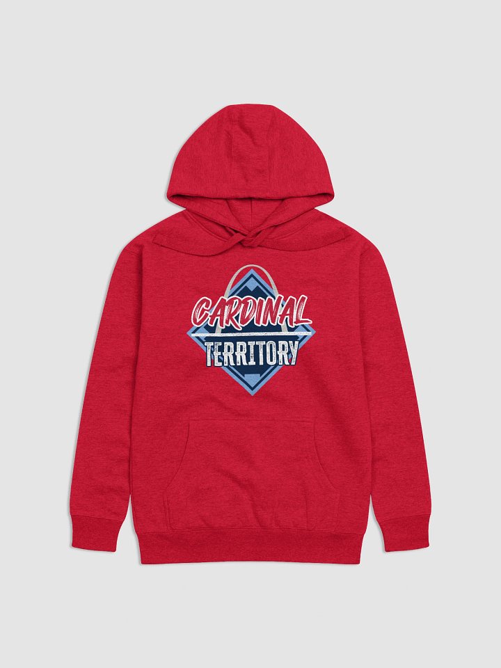 Hoodie product image (1)