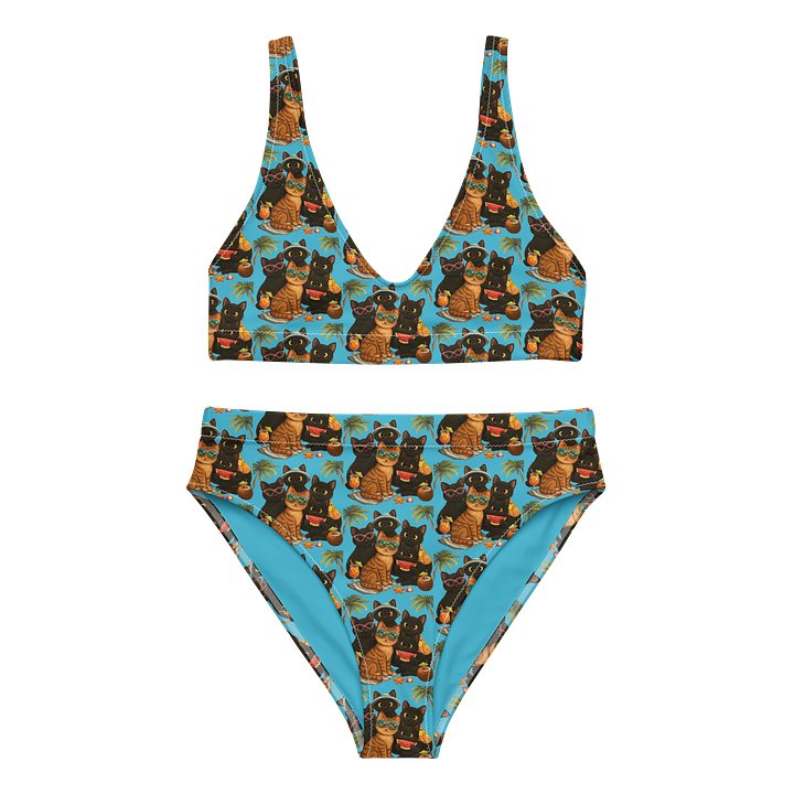 Cat Beauty High-Waisted Bikini Set product image (1)