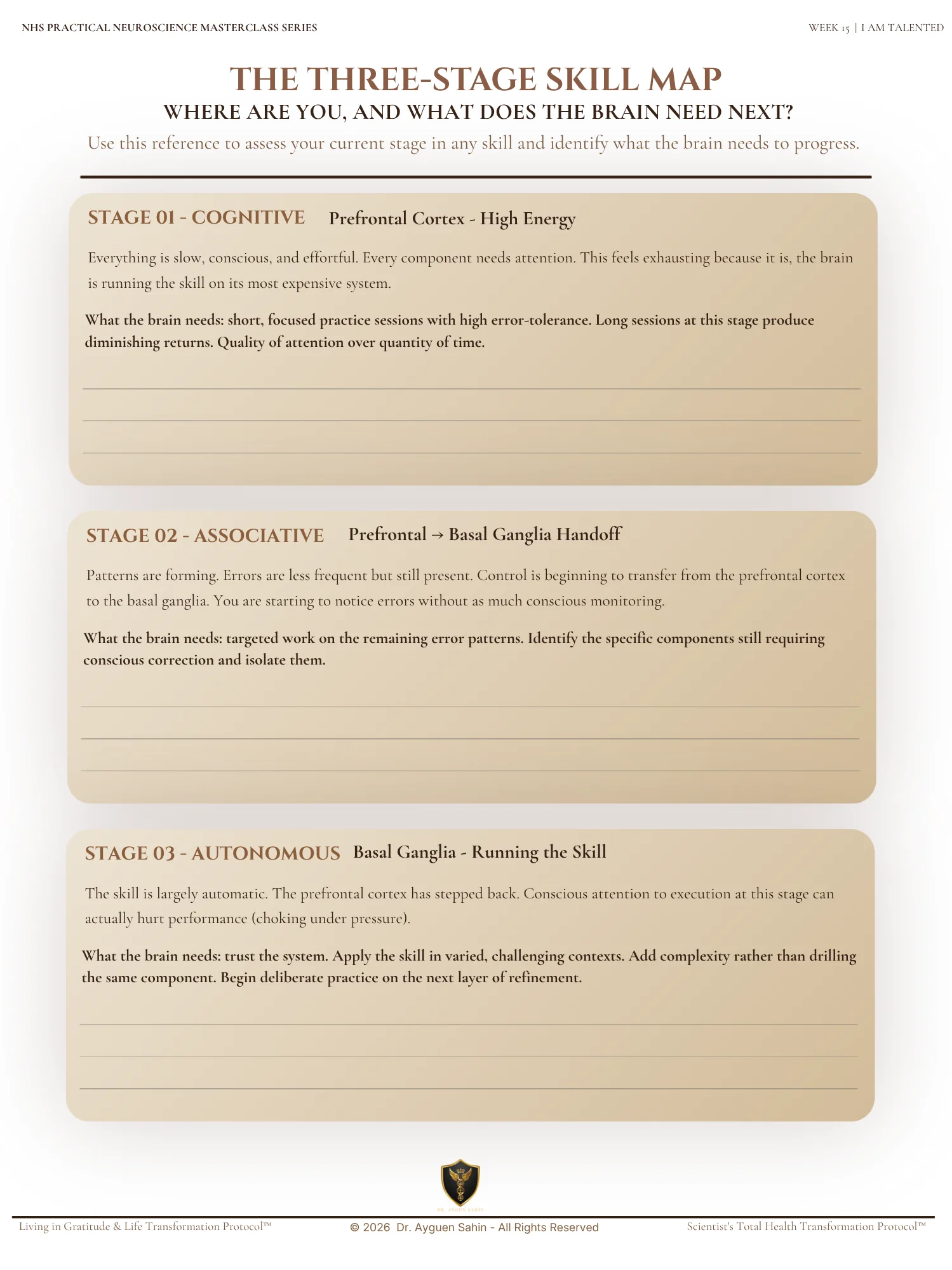 SKILL BUILDING AUDIT product image (2)