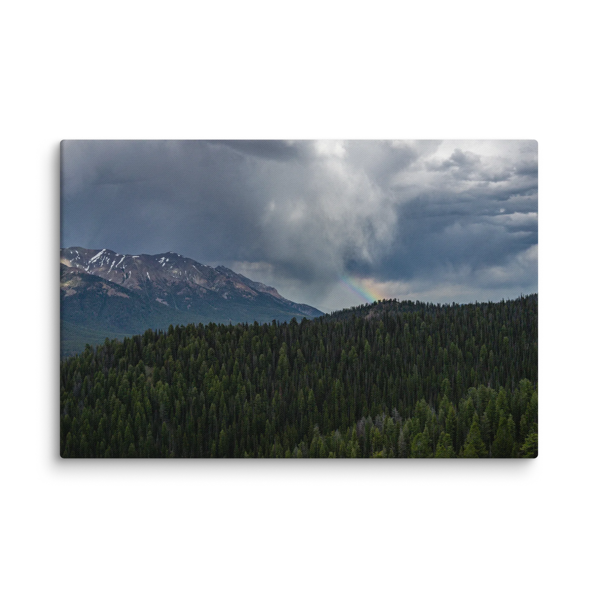 Over the Rainbow (CANVAS) product image (1)