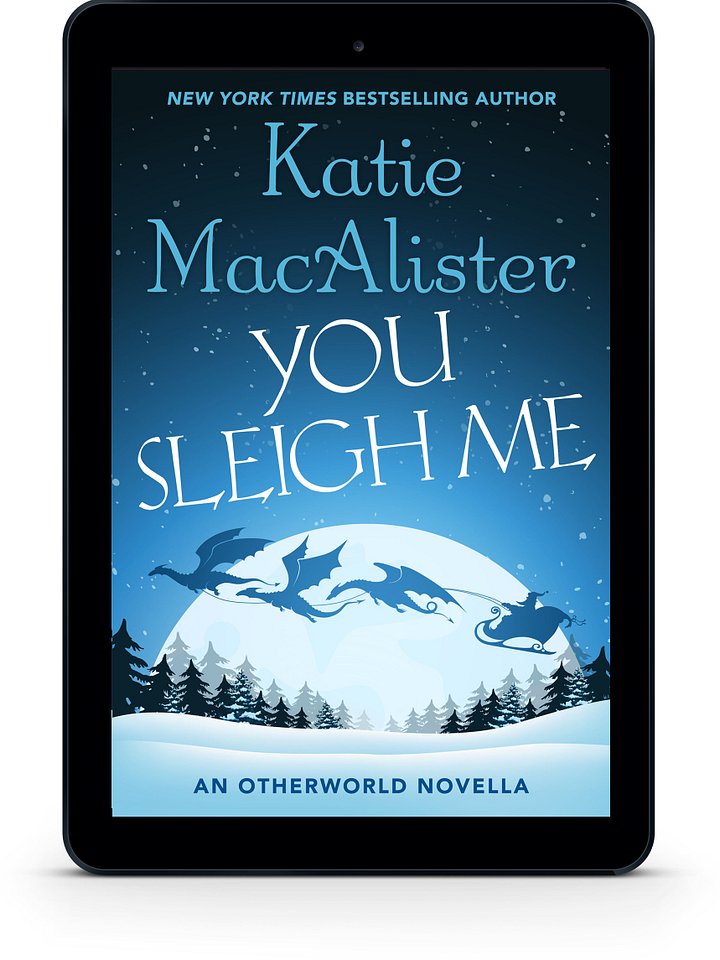 You Sleigh Me [Book 4 in the Dragon Hunter Series] product image (1)