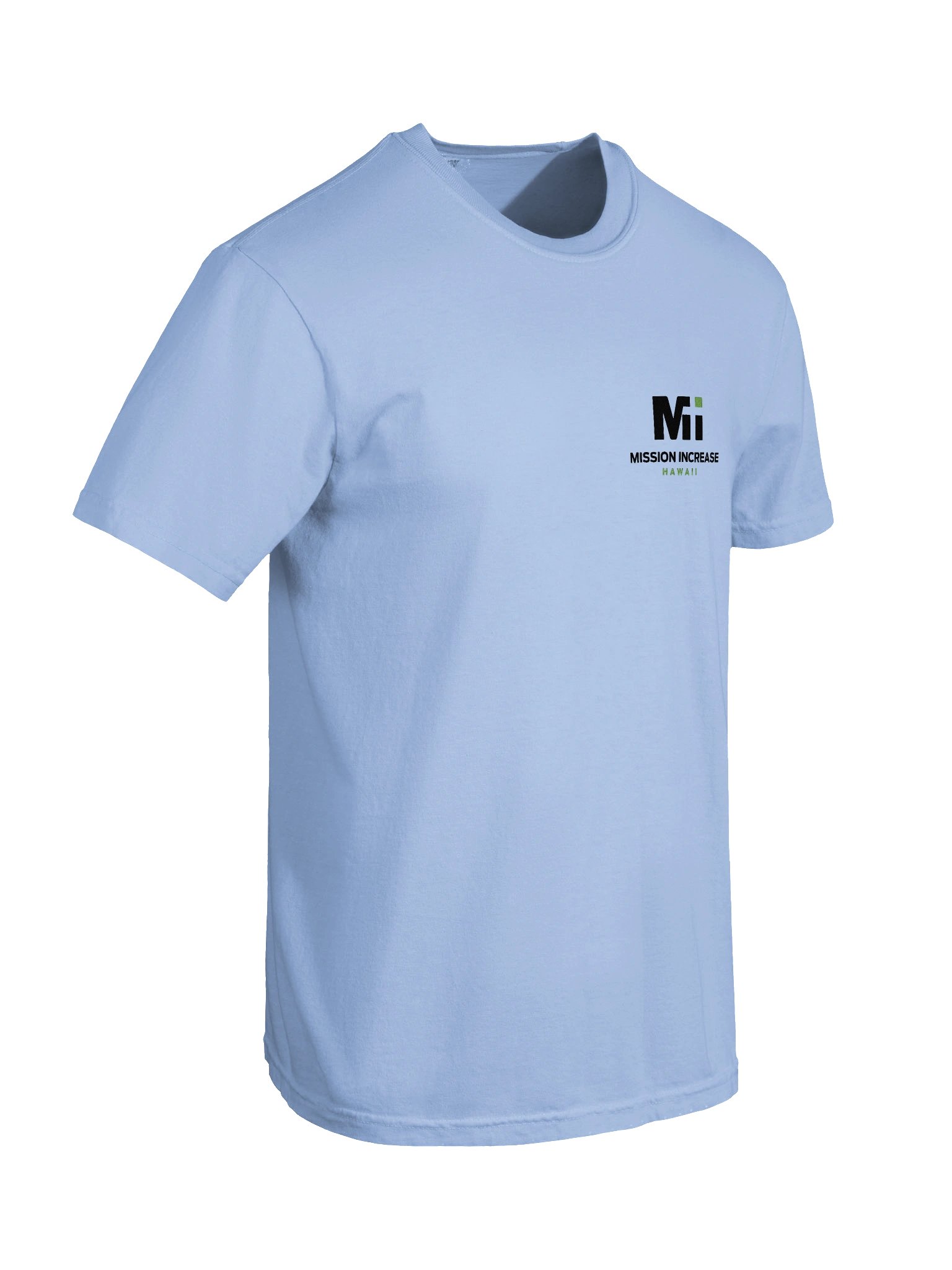 Everyday Tee Hawaii product image (6)