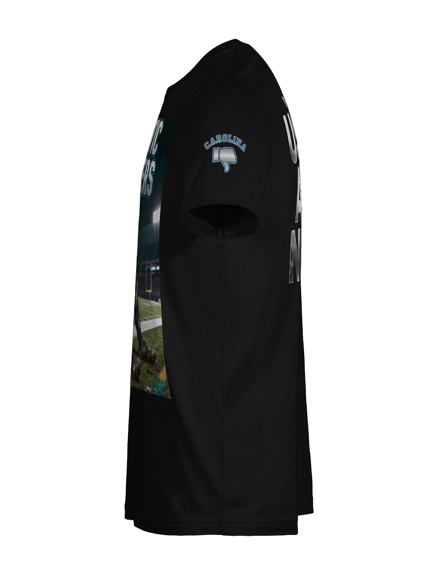 Pathetic Panthers | Carolina | Football | Rival Locker product image (11)