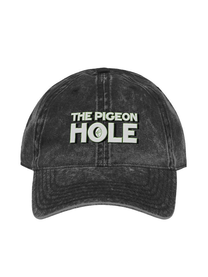Vintage Pigeon Hole Dad Hat product image (1)
