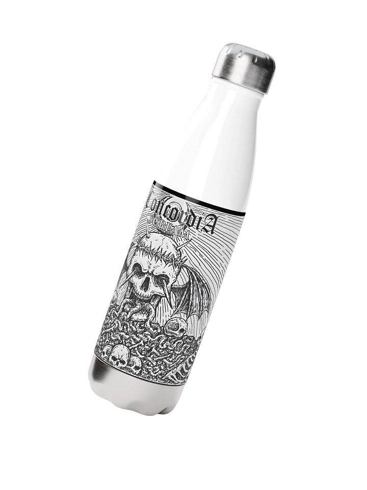 Steel bottle - Scream product image (2)