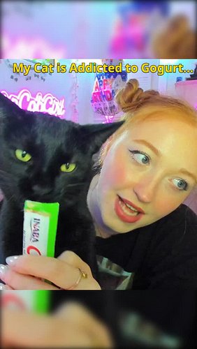 The Churus got a hold on him... #blackcat #churu