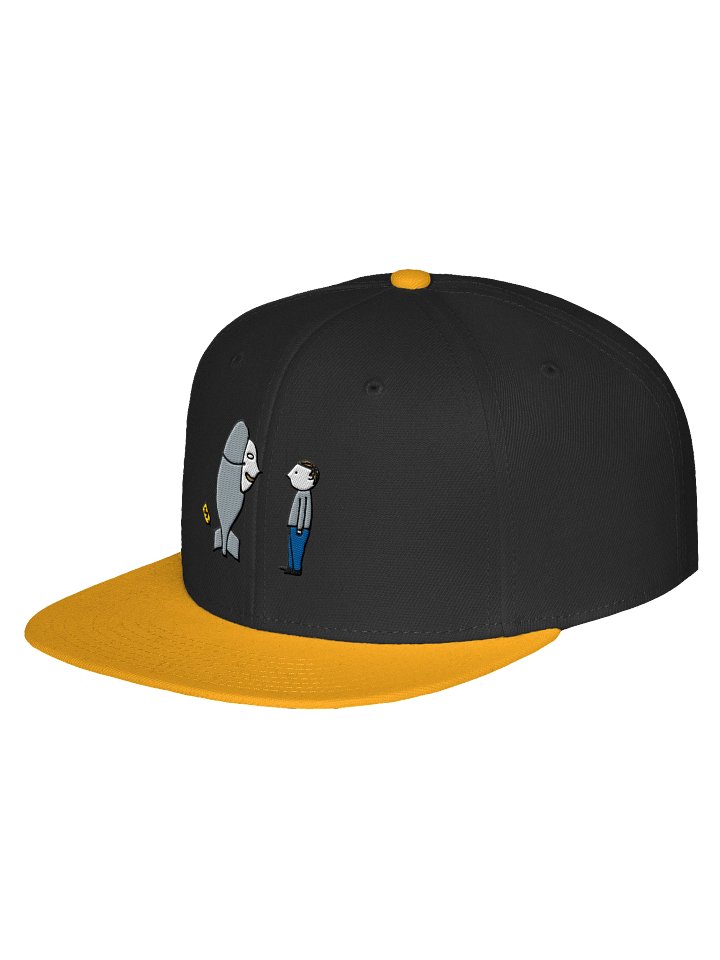 TTGB Snapback Cap product image (2)