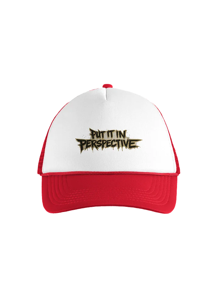 PUT IT IN PERSPECTIVE - TRUCKER product image (1)