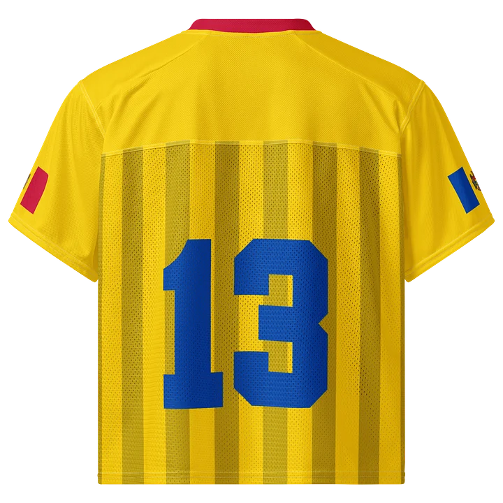 Moldova Boxy Sports Tee product image (2)