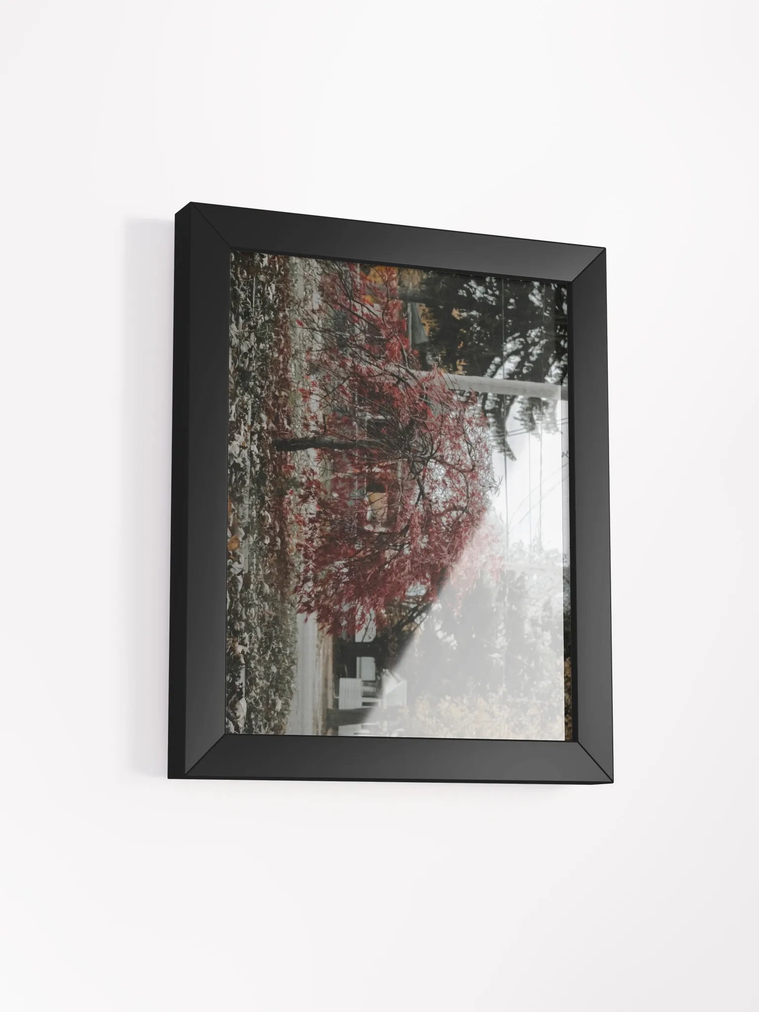 Japanese Maple Tree Print product image (2)