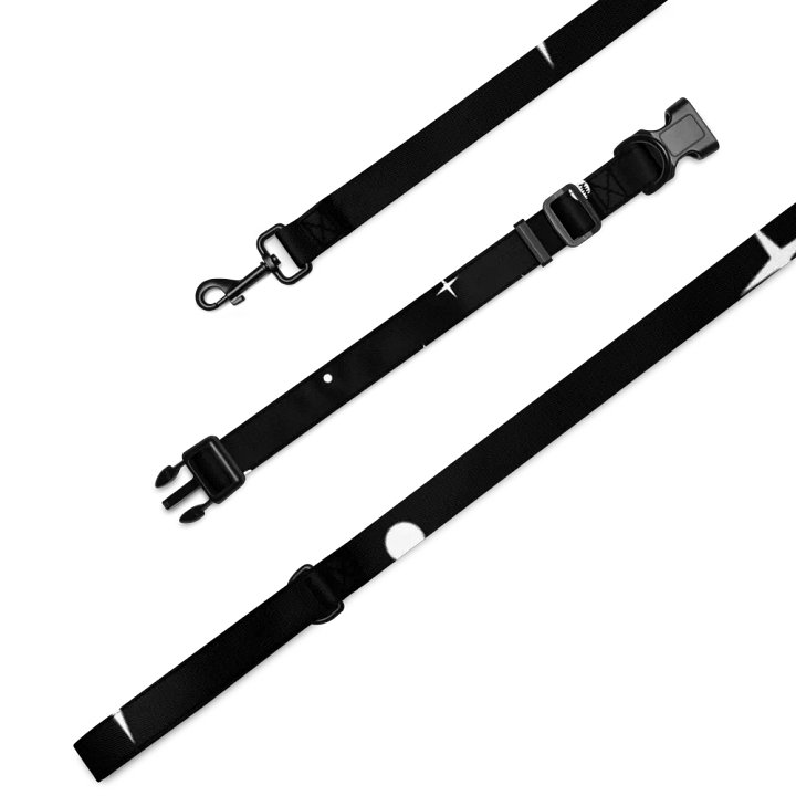 Zenith Abstract Pet Collar & Leash Set product image (2)