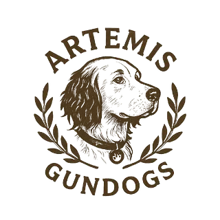 Artemis Gundogs