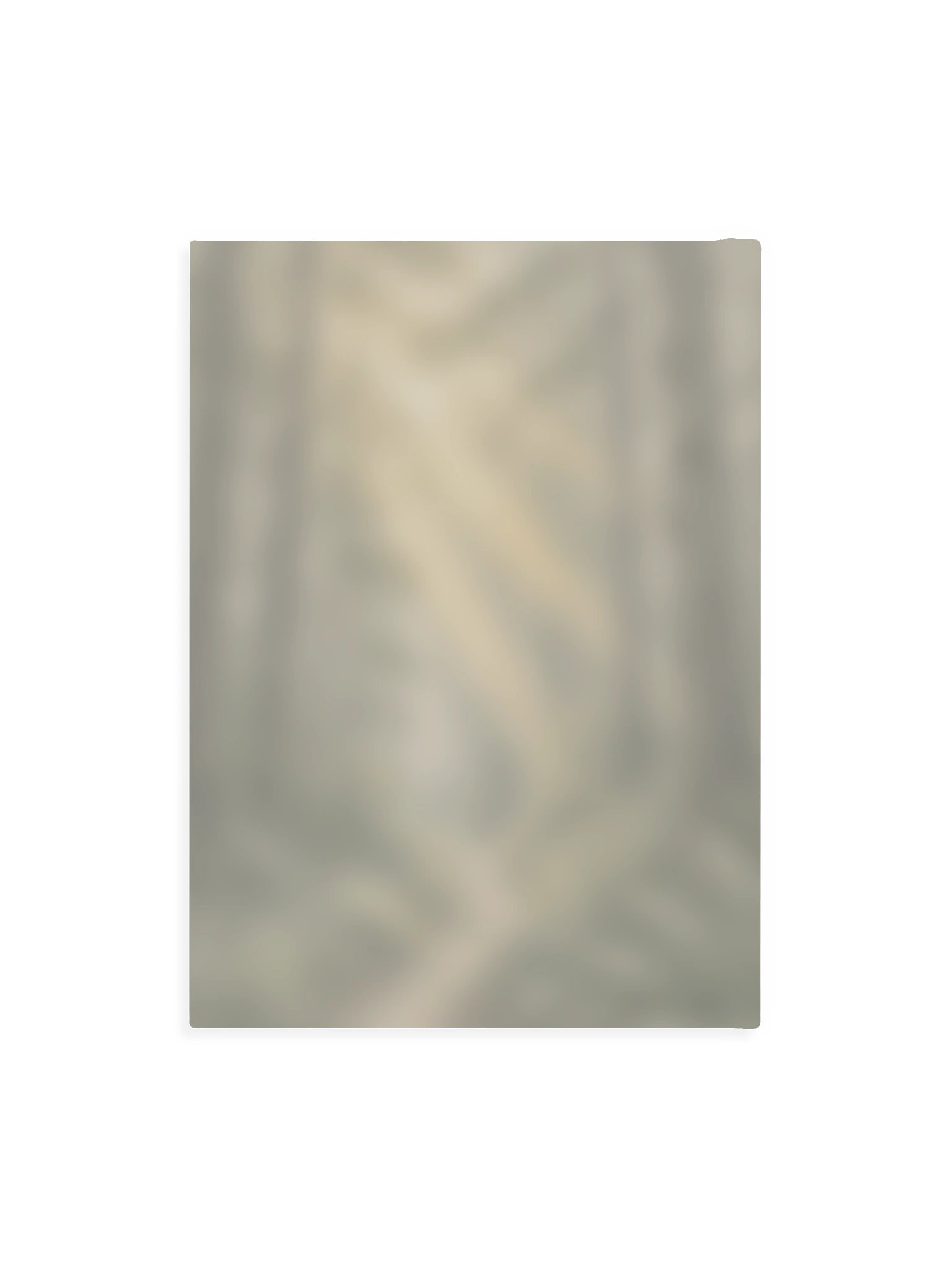 Sunlit Forest Path Drawing Book product image (2)