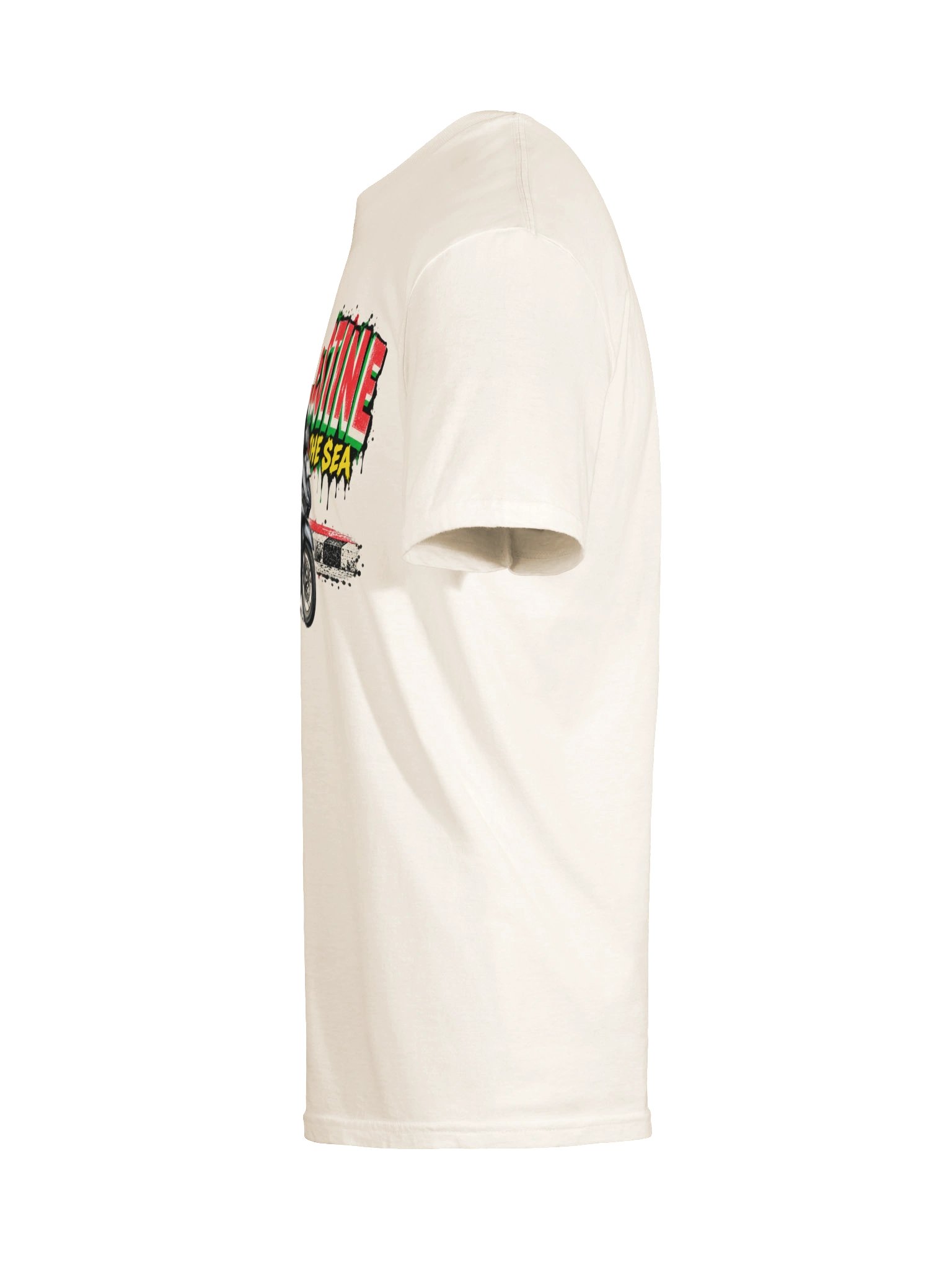 FREE PALESTINE | Java Street Scene product image (9)