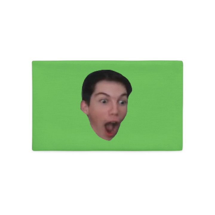 Eloc Pog Pillow product image (2)