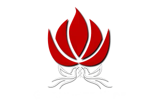 Grounded Fire