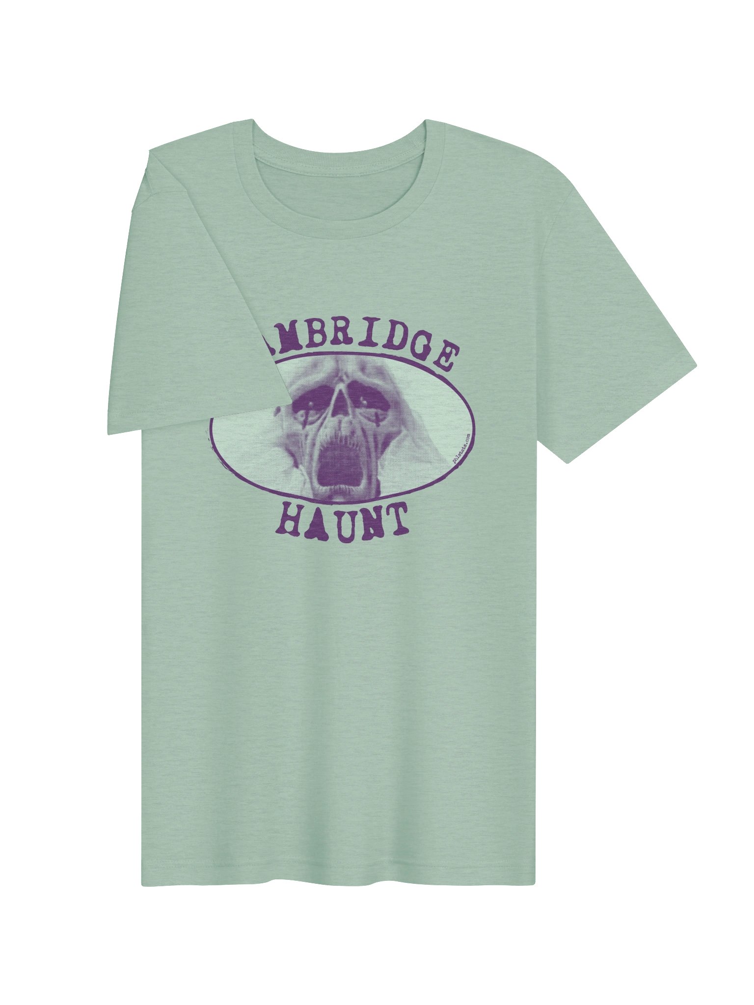 Haunt Tee product image (2)