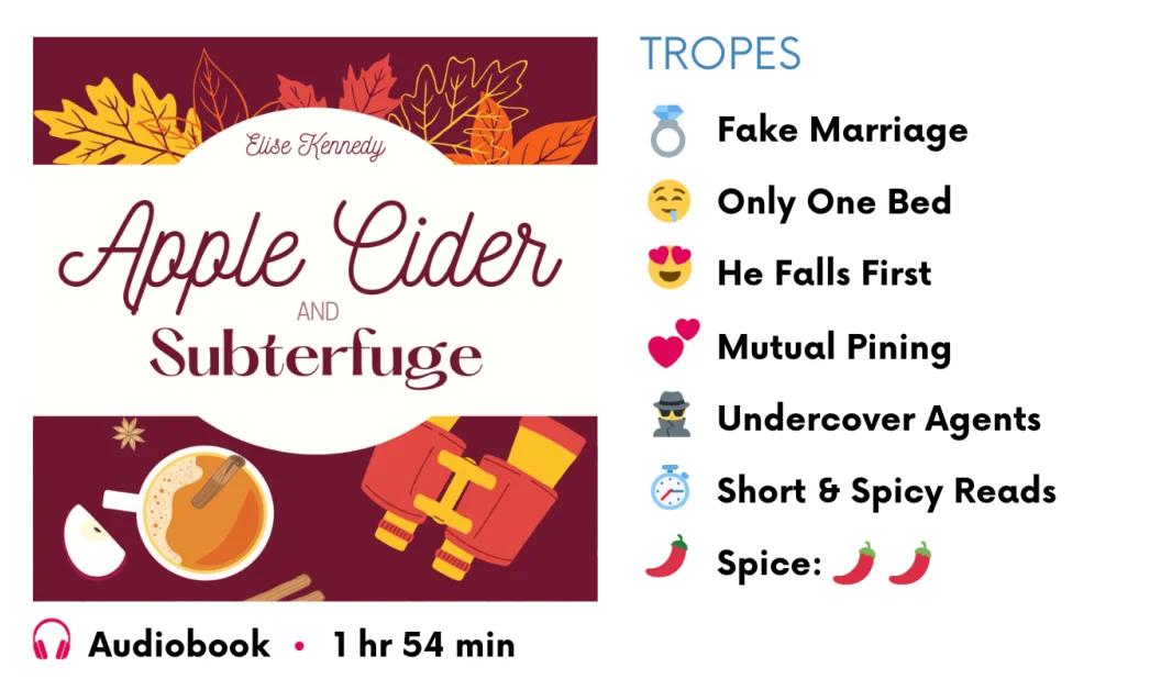 Audiobook bundle - 2 more books for 1¢ more! product image (4)